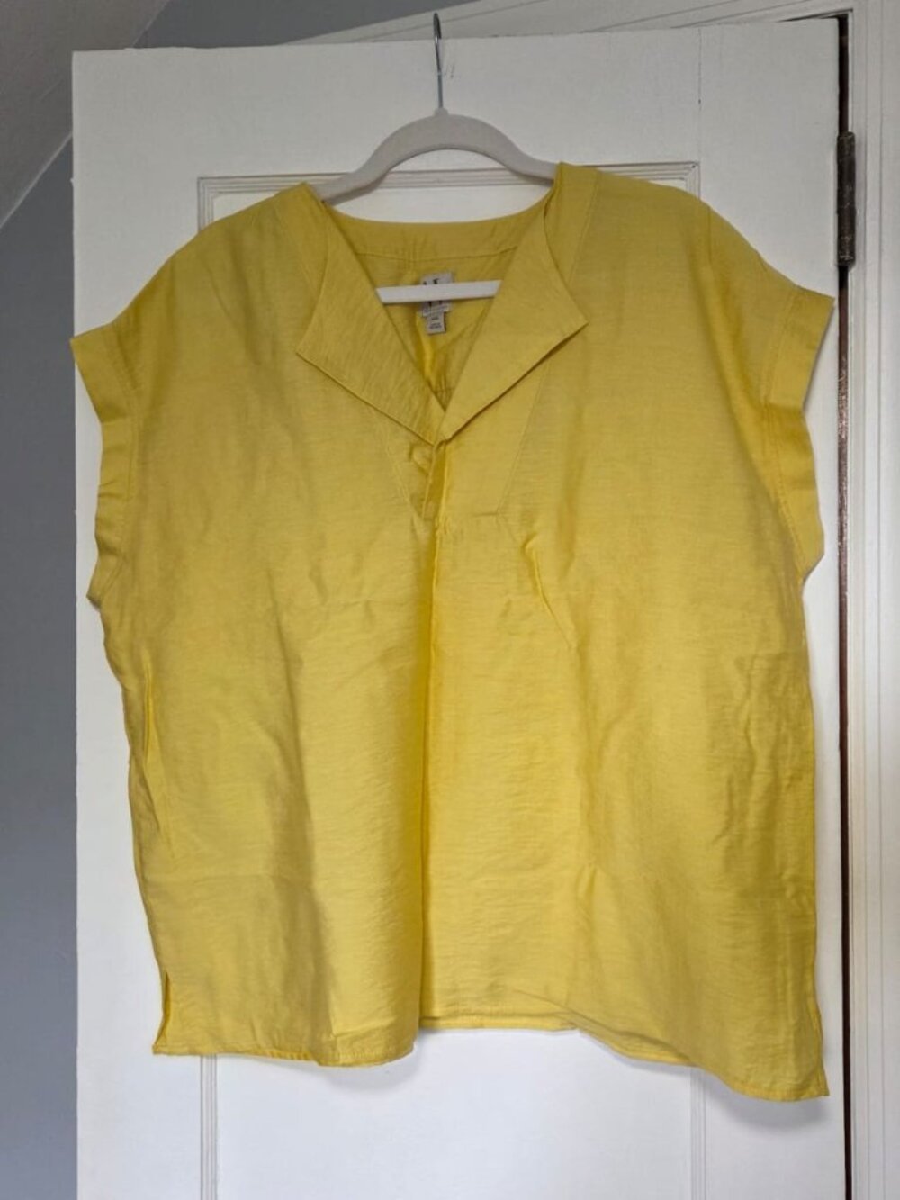 short-sleeve V-neck blouse